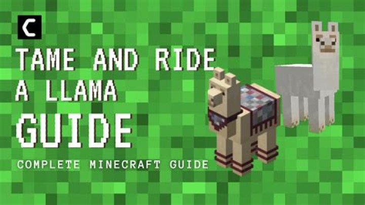 Question: How To Tame And Ride A Llama In Minecraft