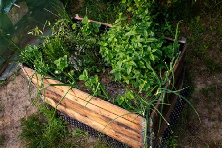 How To Treat Pallets For Garden Use