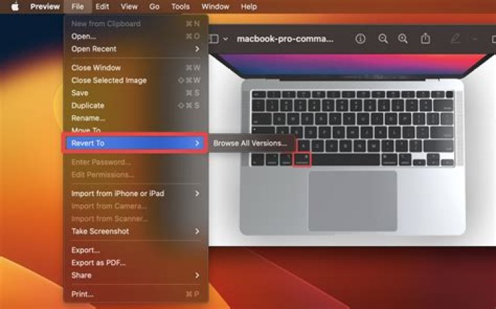 How To Undo In Notes On Mac