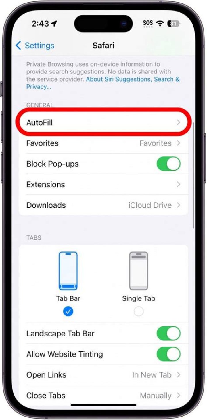 Question: How To Update Autofill On Iphone