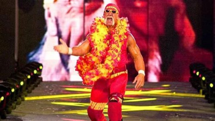 Hulk Hogan Settles Sex Tape Lawsuit Against Former Friend Bubba
