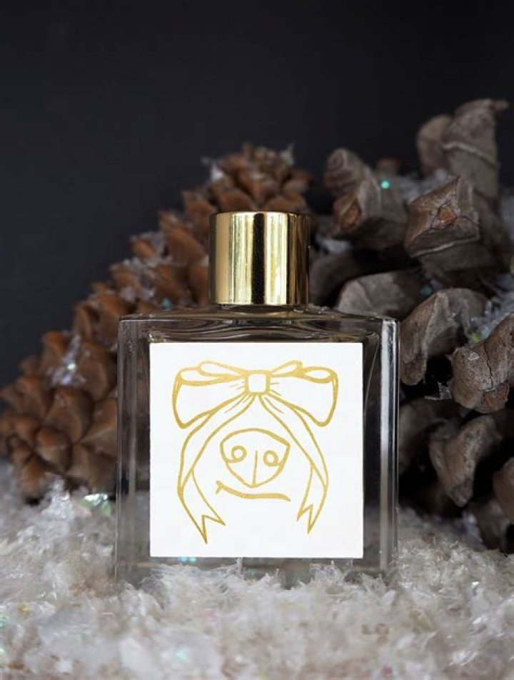 Iliza Shlesinger Launches Perfume for the Holidays: Details