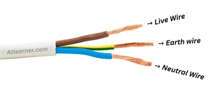 Question: Is Black Live Or Neutral