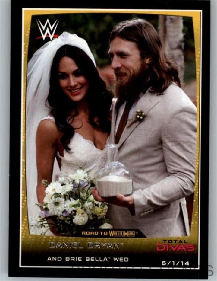Is Daniel Bryan Still Married To Brie Bella? A Deep Dive Into Their Relationship