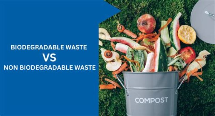 Question: Is Glass Biodegradable Waste