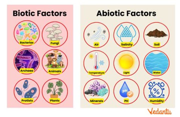 Is Grapes Abiotic Or Biotic