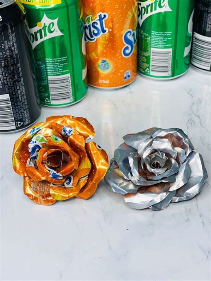 Is It Bad To Drink From Aluminum Cans