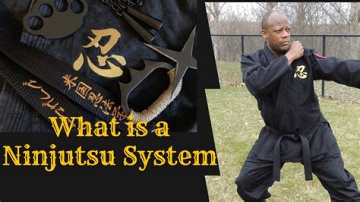 Question: Is Ninjutsu A Real Martial Arts