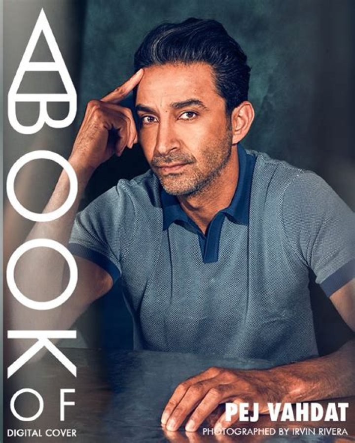 Unraveling The Mystery: Is Pej Vahdat Gay?