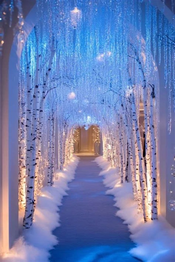 I’ve spent £27k making my home a Christmas wonderland, the trees were a grand & it took 15 hours a day for a WEEK to do