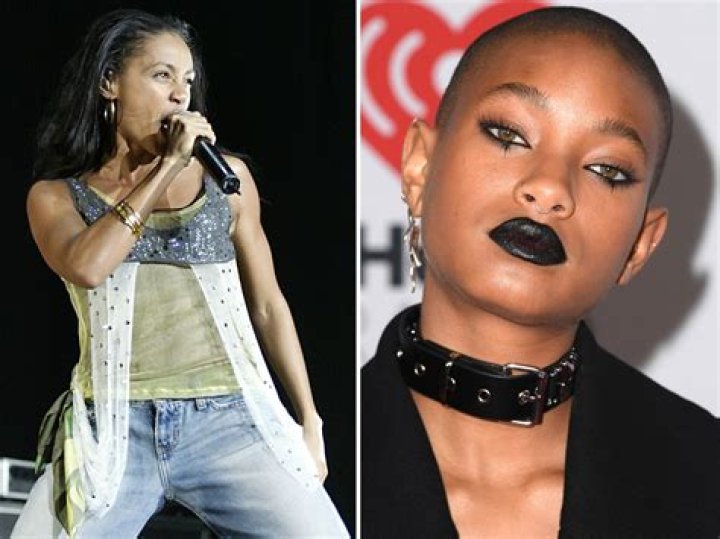 Willow Smith Reacts to 'Pushback' Over Rock Album After Jada Death Threats