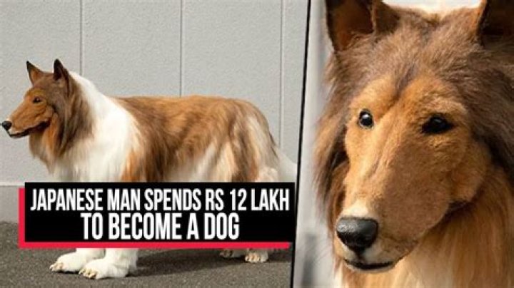 Japanese man spends Rs 12 lakh to BECOME a dog