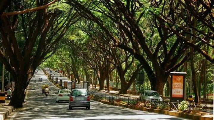 Jayanagar Pin Code | Postal Code (Zip Code) of Jayanagar, Bangalore, Karnataka, India