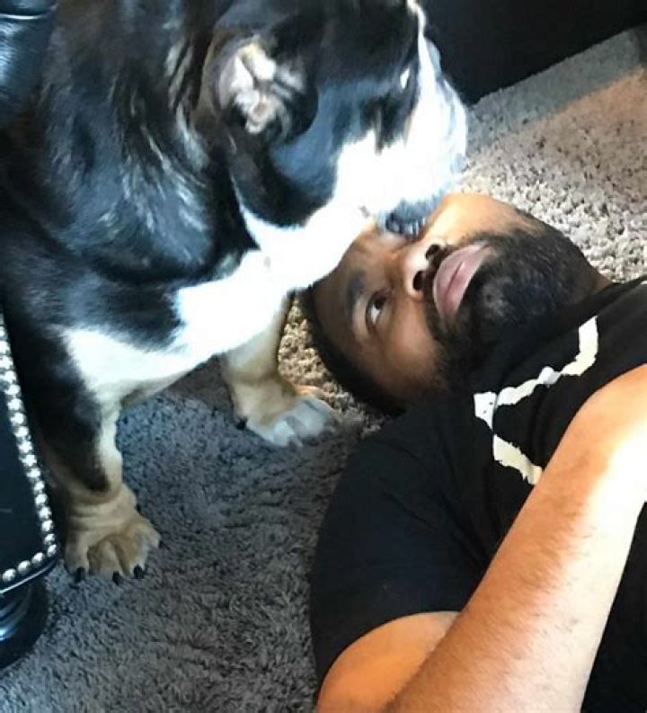 Unleashing The Spirit: Jerod Mayo And His Canine Companion
