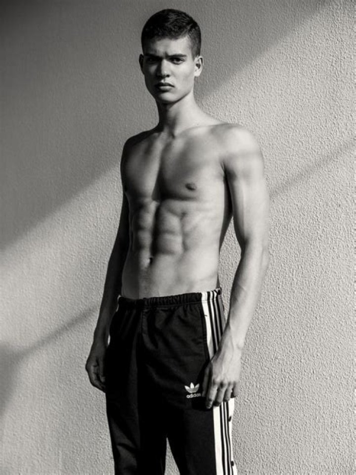 Exploring The Journey Of Josha Stradowski: The Alpha In Entertainment