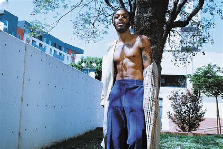 Understanding JPEGMAFIA's Height: The Journey Of An Artist