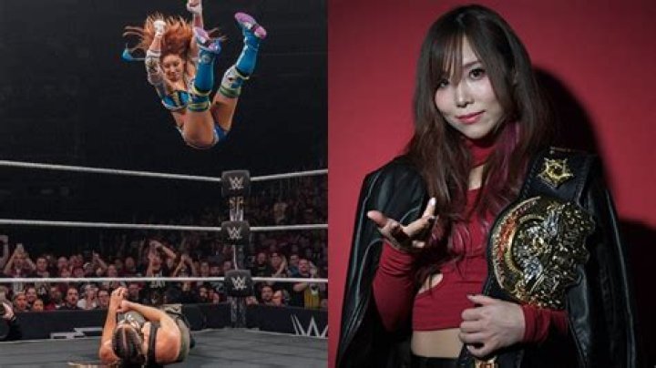 Kairi Sane Says Few WWE Superstars Tried Kicking Out Of Her ‘Insane Elbow’