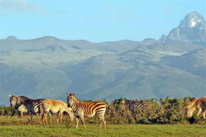 Kenya Pin Code | Postal Code (Zip Code) of Kenya, Dakshina Kannada, Karnataka, India