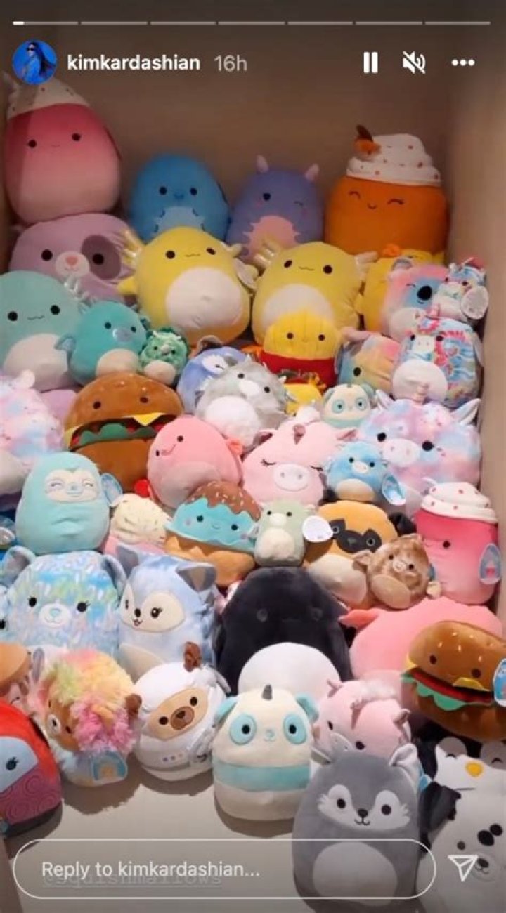 Discovering The Adorable World Of Kim Squishmallow