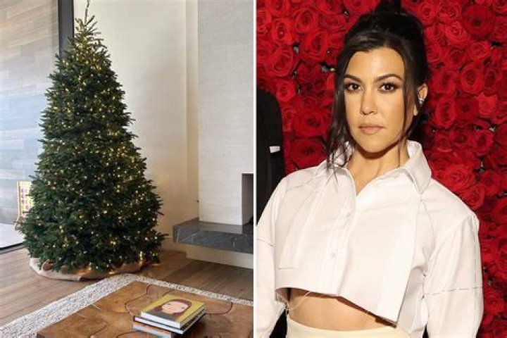 Kourtney Kardashian shows off humble Christmas tree at $9m home as star remains away from spotlight after giving birth