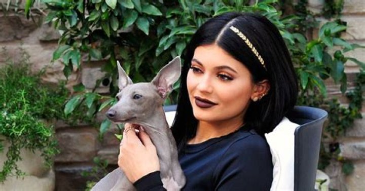 Kylie Jenner's Beloved Dogs: The Story Of Norman
