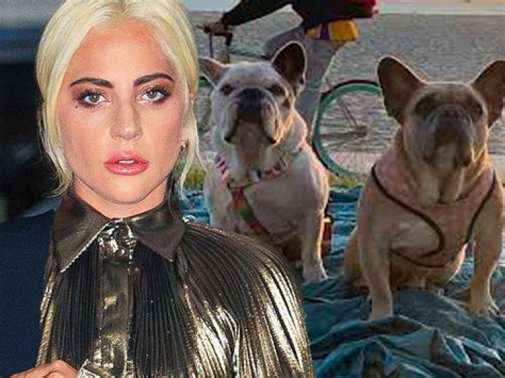 Lady Gaga's dog walker Ryan Fischer seen for the first time since being released from the hospital after shooting