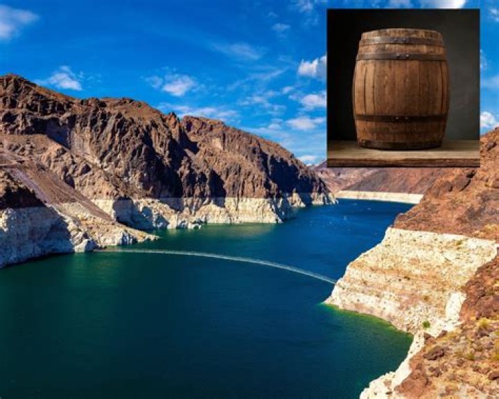 Lake Mead Body Found in Barrel Undergoing DNA Test in Hunt for Identity