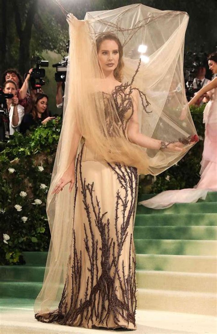 Unveiling The Glamour: Lana Del Rey At The Met Gala