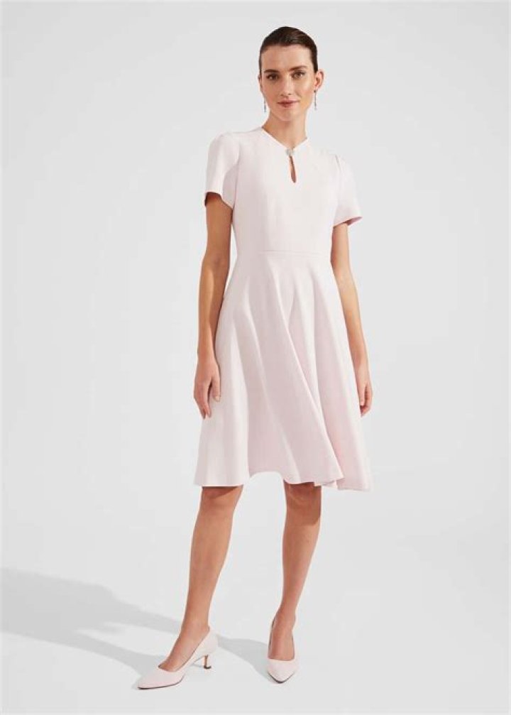 Lark & Ro Fit and Flare Dress Has a Figure-Loving Fit