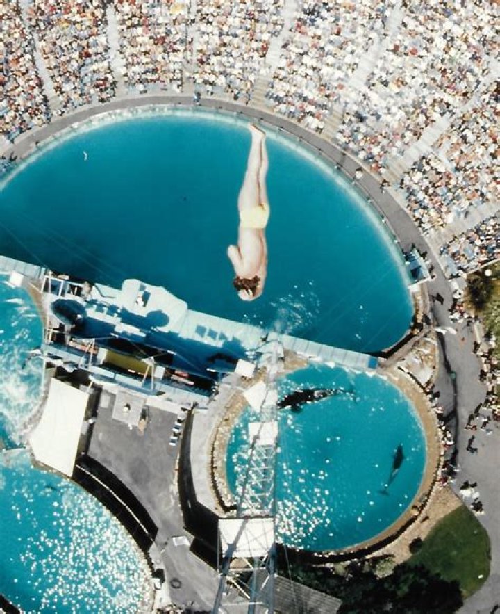 Laso Schaller's World-Record Jump Was Not a World-Record Dive