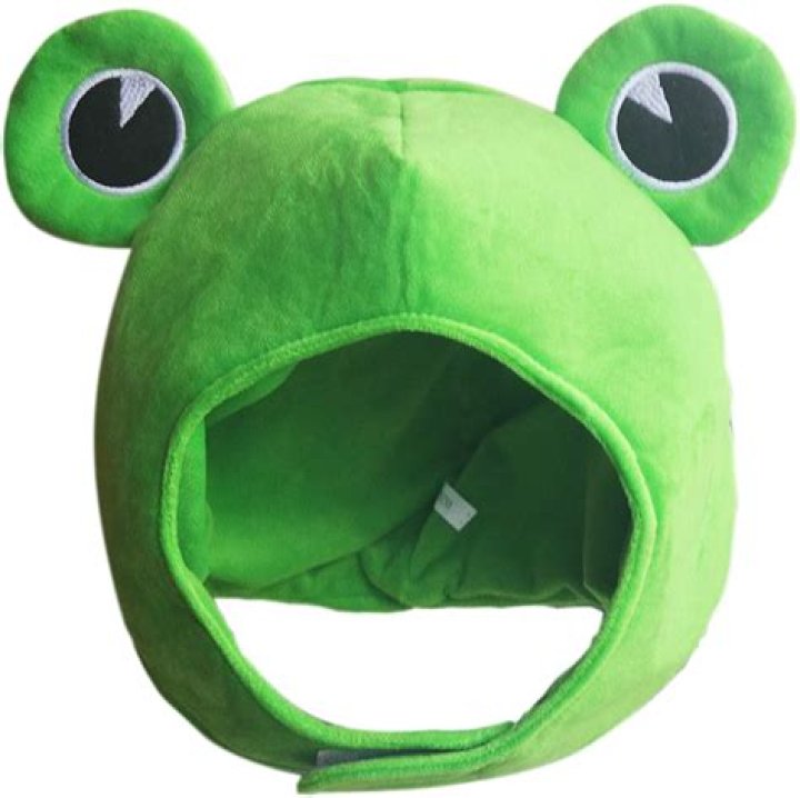 Leap Day Baby Frog Hats: A Quirky Celebration Of Uniqueness
