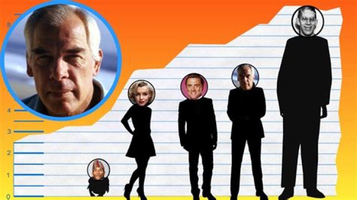 Lee Marvin Height: Exploring The Iconic Actor's Stature And Legacy