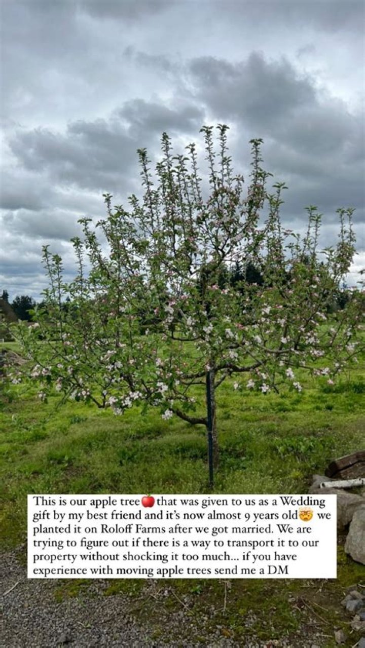 Little People's Audrey Roloff shades father-in-law Matt as she begs fans for help to move personal item off family farm