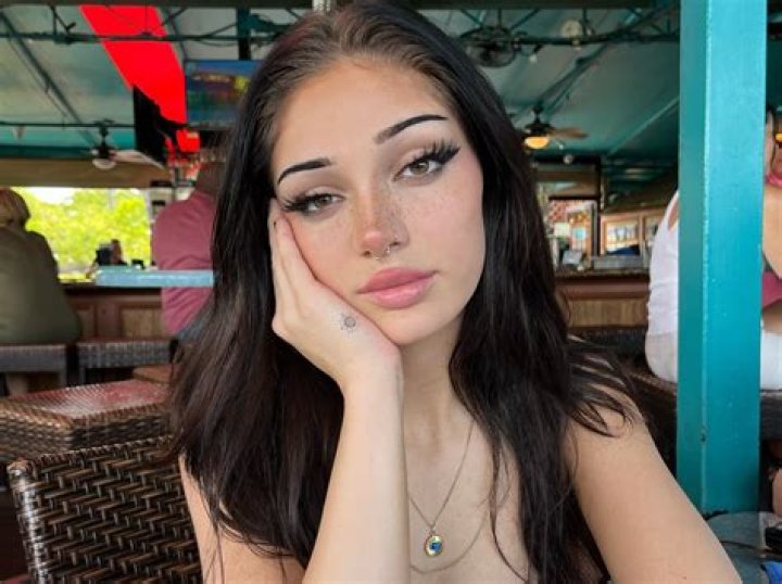 All The Little Warrens Of Leaks: A Comprehensive Guide