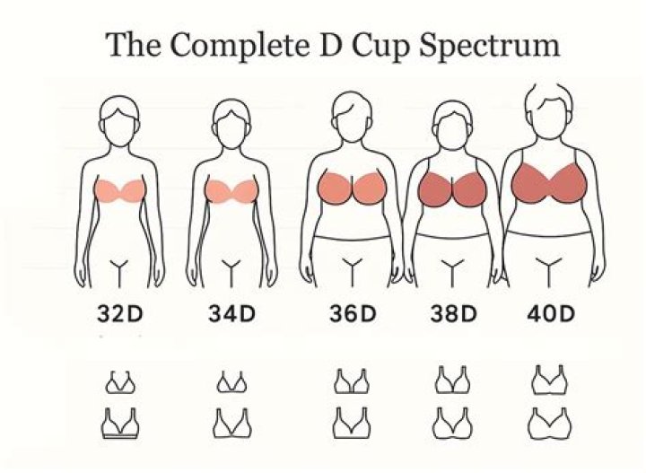 I have secret boobs - I look like an A-cup in my sports bras, but Victoria's Secret measured me a 32D