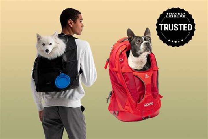 Lumi Dog Backpack: The Ultimate Adventure Companion For Your Furry Friend