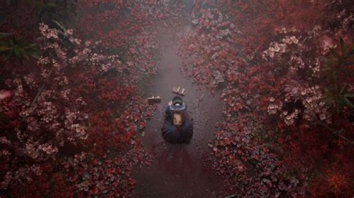 Discovering The Enigmatic Macoe Hill