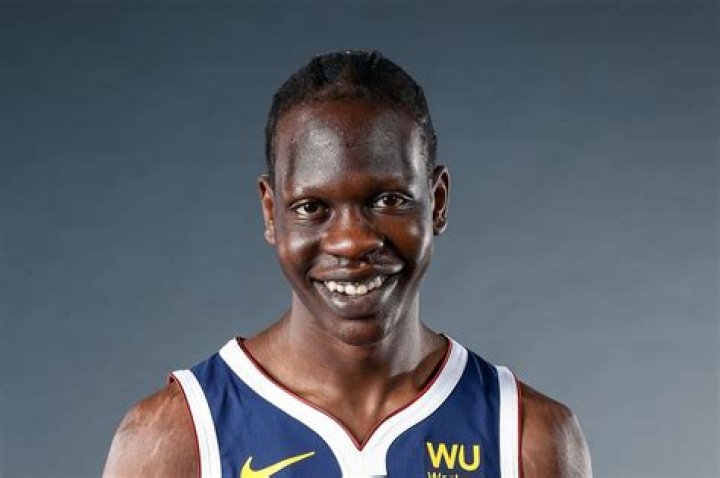 Manute Bol Net Worth, Income, Salary, Earnings, Biography, How much money make?