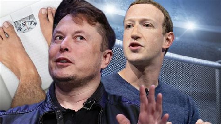 Mark Zuckerberg denies Elon Musk fight at UFC 300 after Chael Sonnen's declaration on The MMA Hour