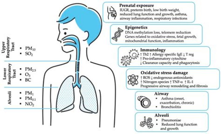Michelle Ryan’s Health: Exploring Michelle Ryan’s Current Health Condition and Illness Details