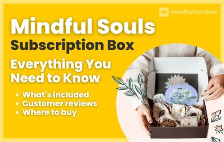Users rave about the Mindful Souls subscription box and say they're 'in love'