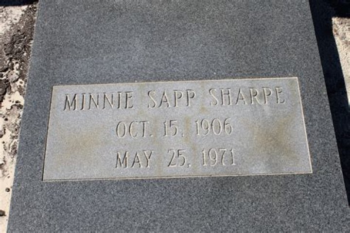 Minnie Sharpe: A Journey Through Creativity And Passion