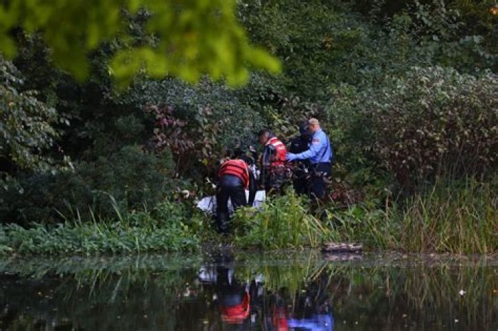 Missing 3-year-old Mason Henley has been found dead in pond after chasing ducks – rest in peace