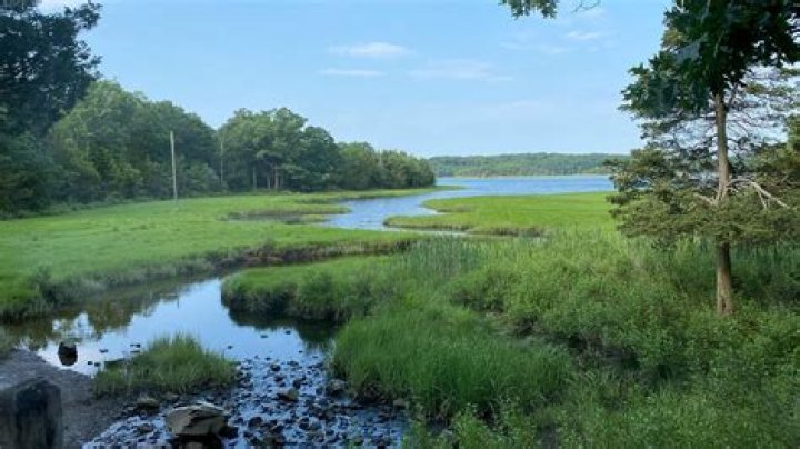 Missing reporter Michael King found dead on Thanksgiving after not returning from Dunkin' Donuts run