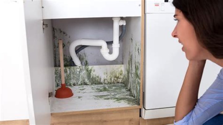 The 99 cents product that removes all mold in minutes - it's all natural but you won't find it in the cleaning aisle