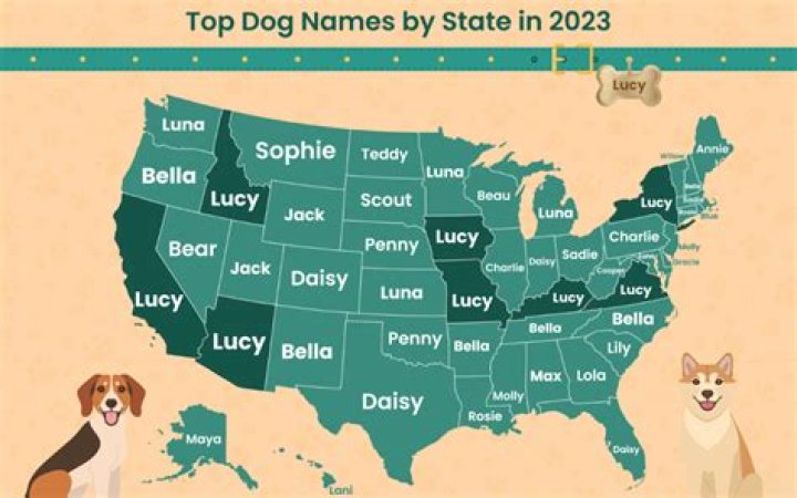 The Most Popular Dog Name in Every U.S. State Has Been Revealed