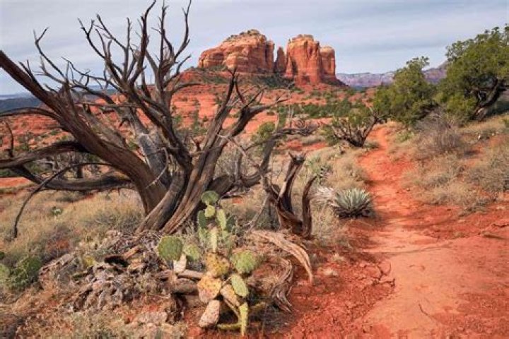 Tragic Loss: A Mother's Life Cut Short After Passing Out