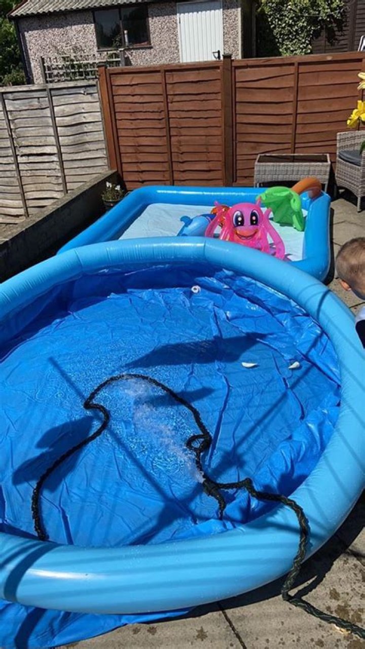 Mum shares delight at huge £20 pool from Home Bargains that takes up the entire garden - and is ideal this sunny weekend