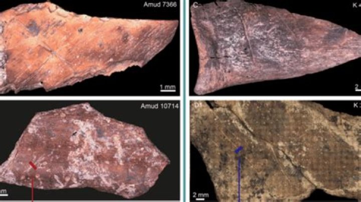 Exploring The Allure Of Myahjanesvip: A Comprehensive Guide