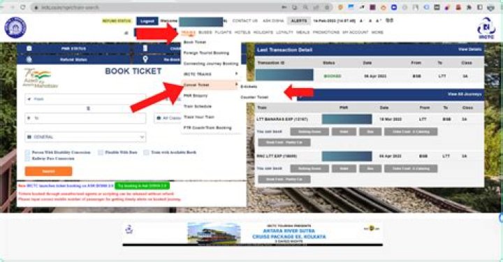 How to take print out of e-tickets – India TV